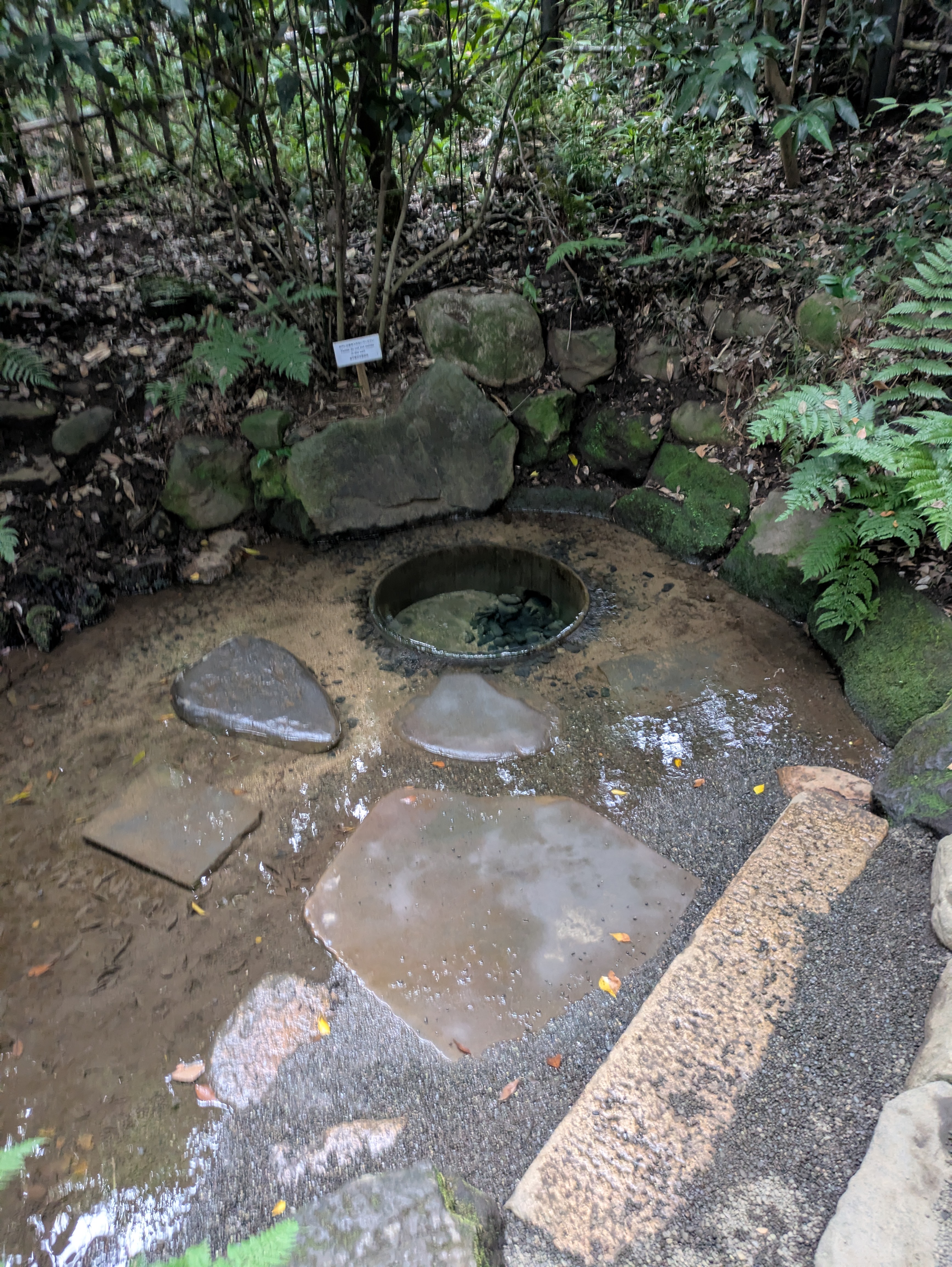 苔むした石と木々に囲まれ、水が湧き出す加藤清正の井戸