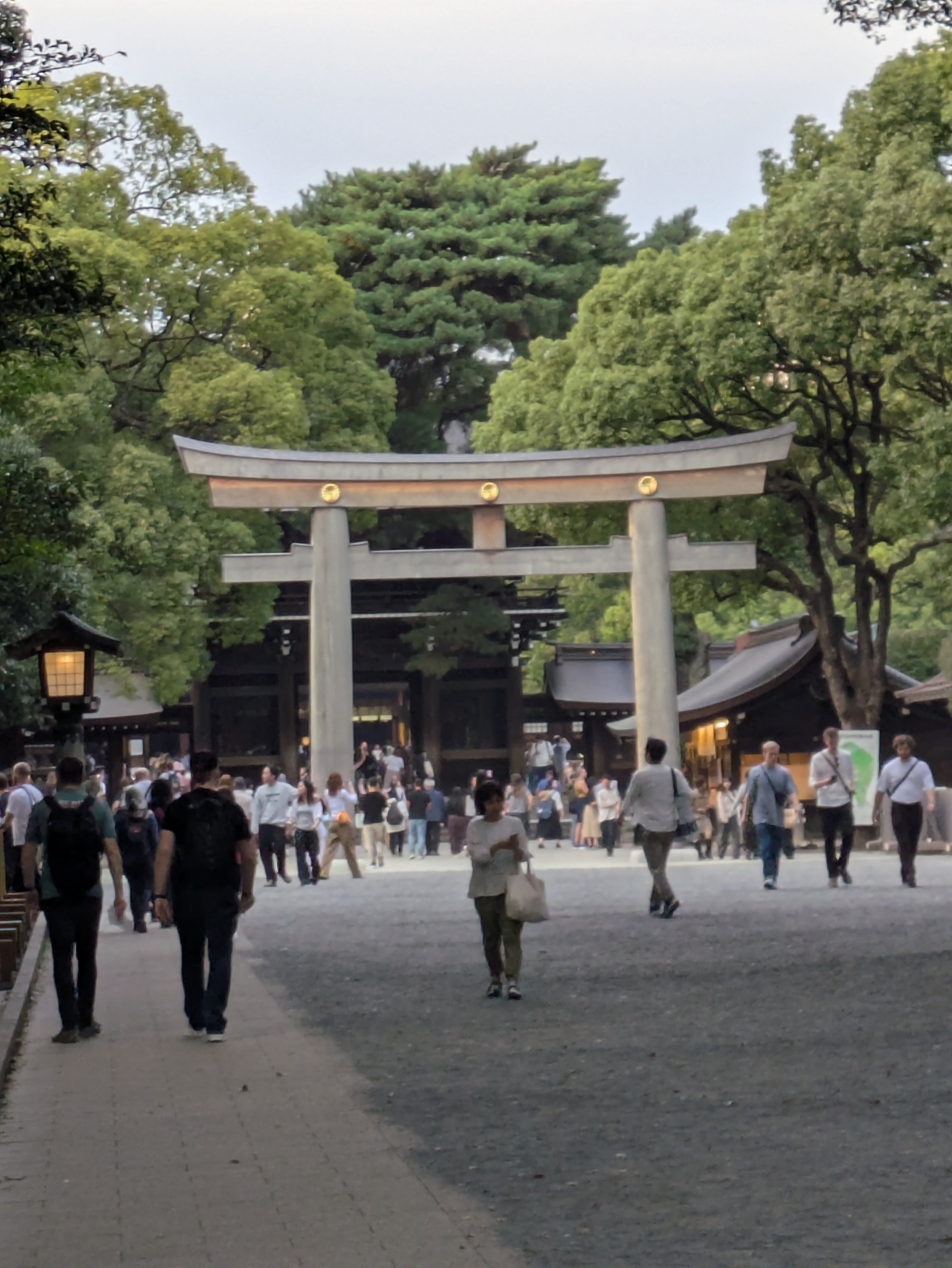 深い緑に囲まれた明治神宮の鳥居と参拝者